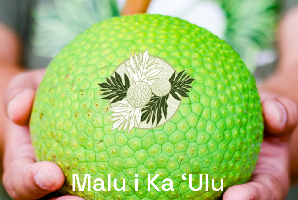 Hawaii – Malu i ka Ulu : Care Hawaii